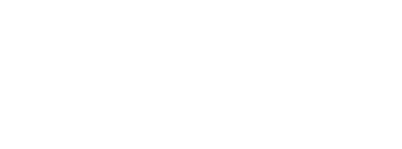 INSTITUTO CONFUCIO